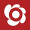 Bloomer is a completely new social entertainment experience that lets you share and discover photos of the themes you love