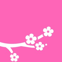 桜・お花見まとめニュース 開花情報やお花見のニュース apk