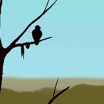 Fly Away Adventure