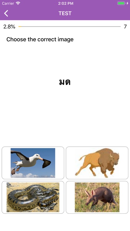 Beginner Thai: Smart Choice screenshot-6