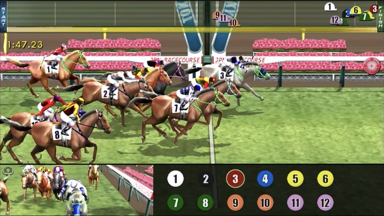 iHorse:The Horse Racing Arcade screenshot-5