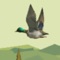 Duck Hunter is the free duck hunting games, duck hunter simulator with great 3d graphics