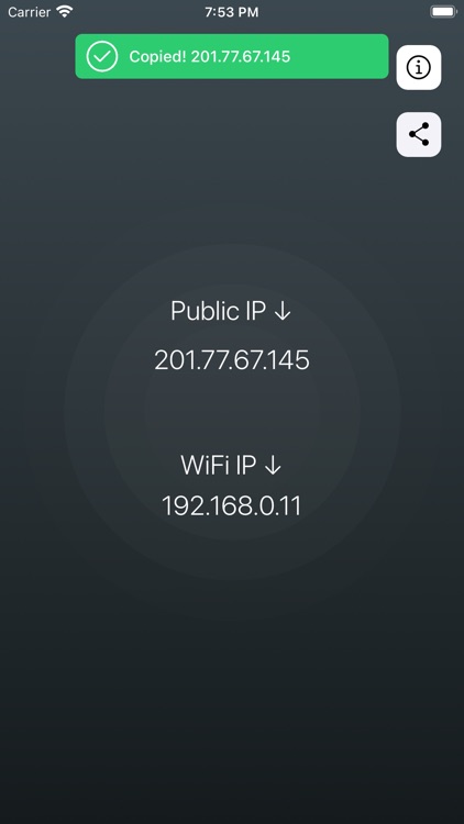 Find IP • Public & WiFi screenshot-1