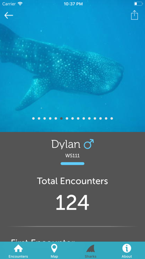 Whale Shark Network Maldives(圖7)-速報App