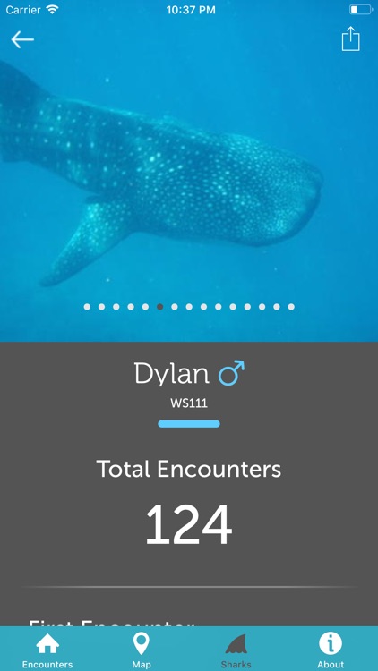 Whale Shark Network Maldives screenshot-6