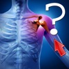 Anatomy Shoulder Quiz