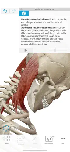 Screenshot 8 Atlas de anatomía humana 2021 iphone