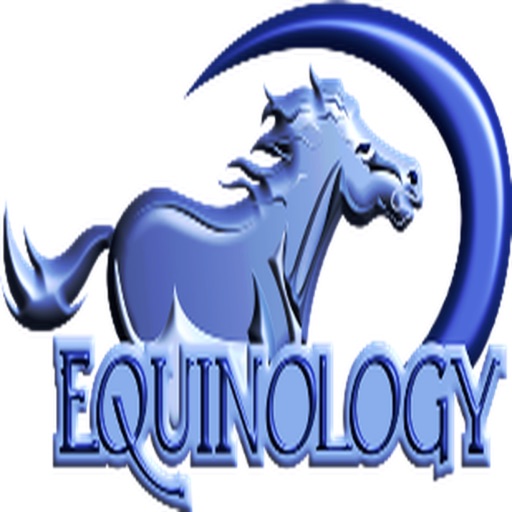 Equine Anatomy Learning Aid