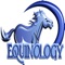 EQUINE ANATOMY ON DEMAND
