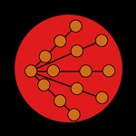 Prime Dictation - Audio Record