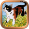 App Icon for Tarot of Pagan Cats App in Slovenia IOS App Store