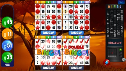 Bingo! Absolute Bingo Games - AppRecs