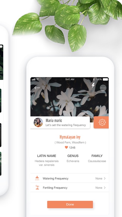 PlantDetect - Plant Identifier