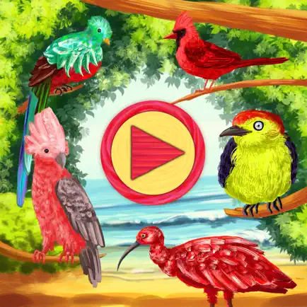 KidsDi: World birds' puzzle Cheats