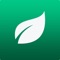 Looking for the best Essential Oil