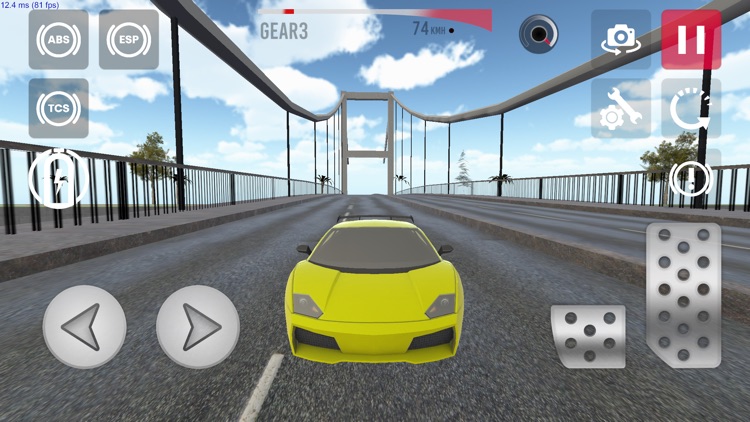 Auto Racing Driver Simulation screenshot-6