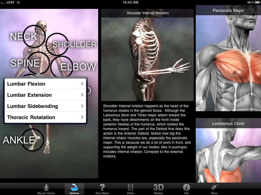 Muscle & Bone Anatomy 3D screenshot 3