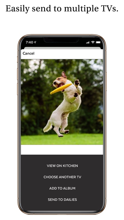 Pixo Photo Display screenshot-4