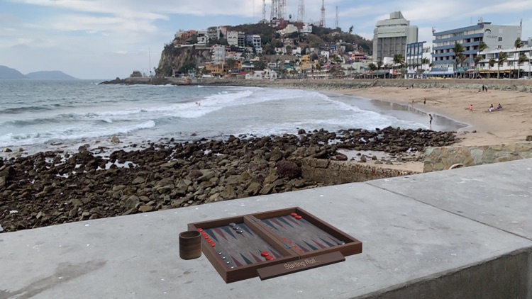 AR Backgammon+