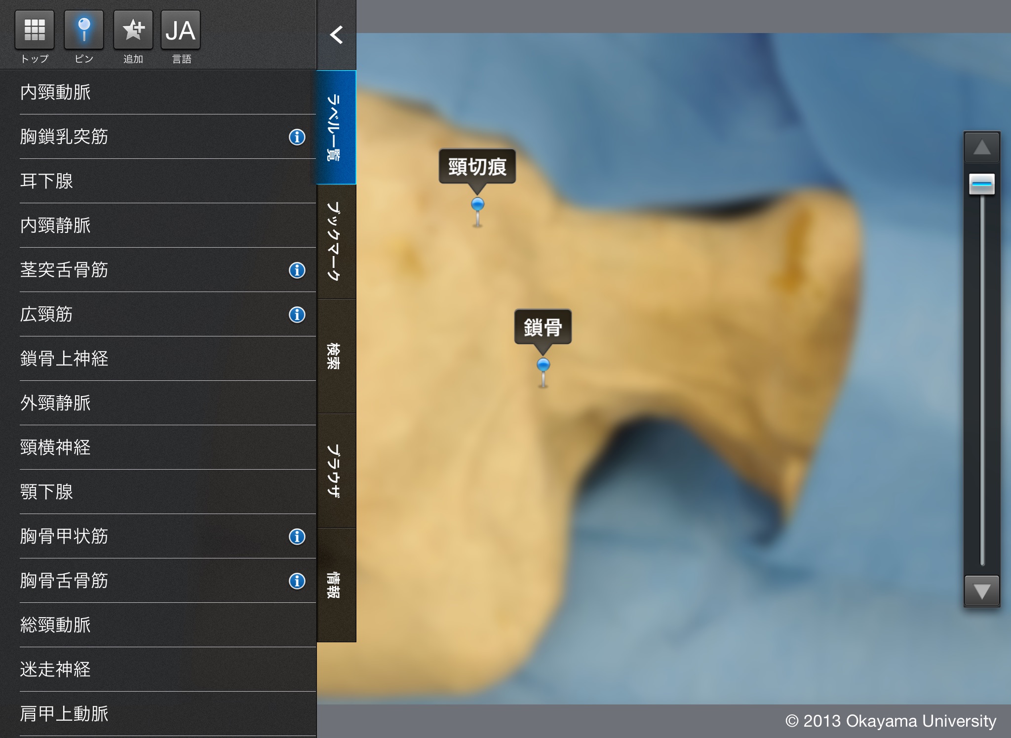 MeAV Anatomie 3D screenshot 2