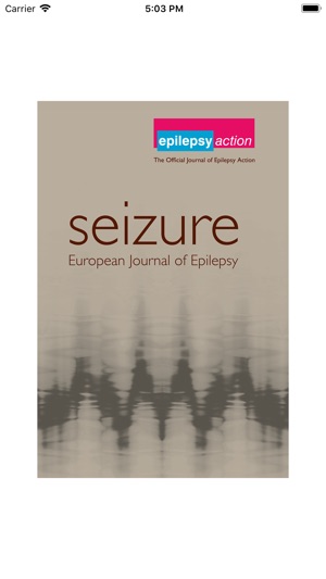 Seizure Journal