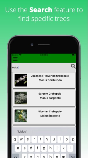 Tree Dictionary(圖3)-速報App