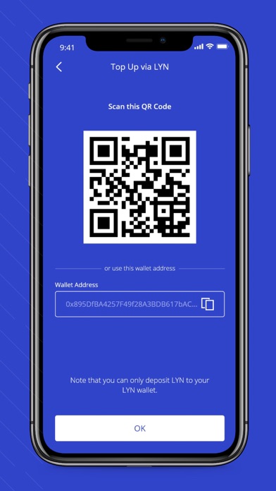 LynPay screenshot 2