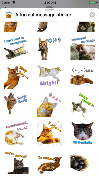 A fun cat message sticker screenshot 4