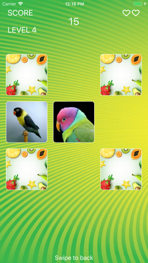 Parrot World Memory Trainer(圖3)-速報App