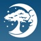 Everything you love about Dreaming Tree at your fingertips