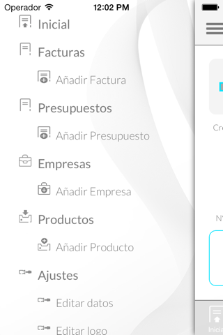 iFacturas PRO screenshot 2