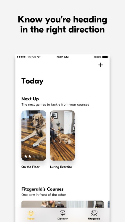 Harper Dog Training screenshot-4