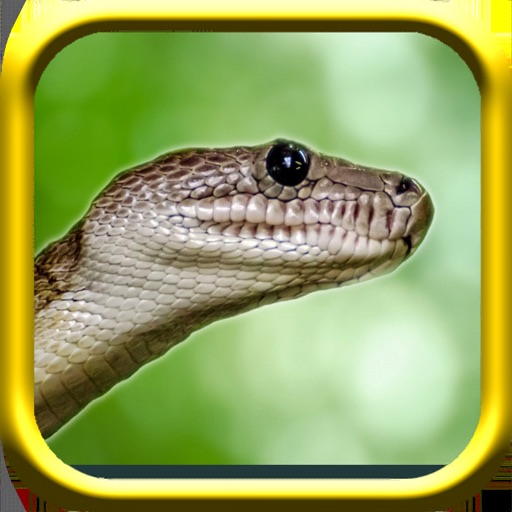 Snake Rampage - A Snake Game iOS App
