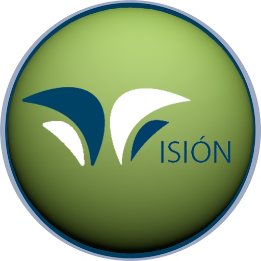 Vision Seguros