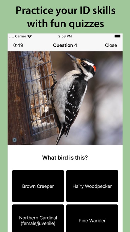 Smart Bird ID