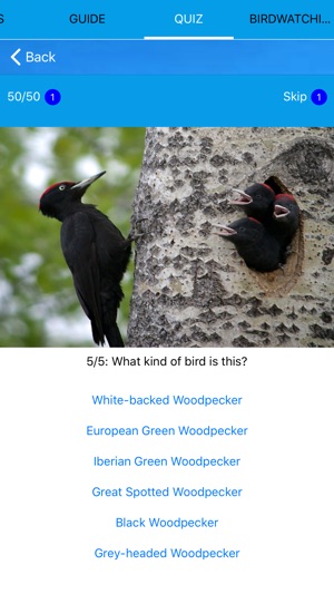 Ecoguide - Birds of Europe(圖7)-速報App