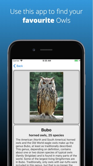 Owl Dictionary(圖1)-速報App