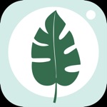 FindPlant-Plant Identification