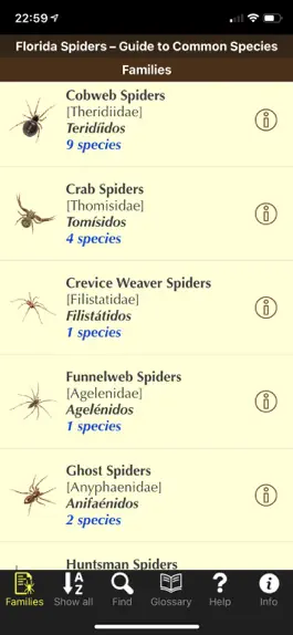Game screenshot Florida Spiders mod apk