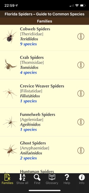 Florida Spiders(圖1)-速報App