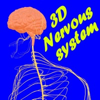 Human Nervous system