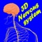 The nervous system is a network of neurons whose main feature is to generate, modulate and transmit information between all the different parts of the human body