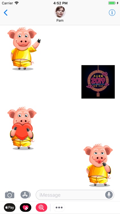 Golden Chinese Pig Year 2019