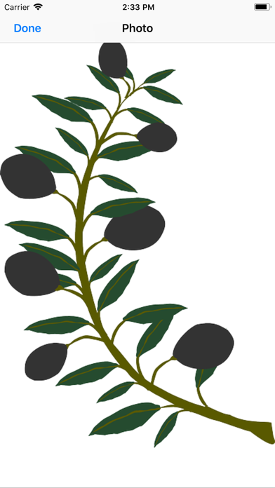 Olive Branch Stickers screenshot 4