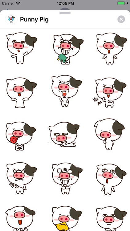 Punny Pig Animated Stickers