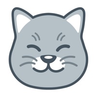 Curious Cat: Paid Surveys Reviews