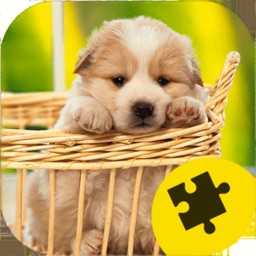 Cute Dogs Puppy Jigsaw Puzzle