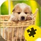 Cute dogs and care puppies jigsaw game it' s the best game for girls, kids, toddlers and adults for fun whole family who love dogs wallpapers and pictures landscape for iphone and every IOS device