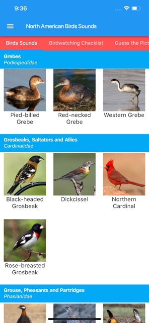 North American Birds and Sound(圖5)-速報App