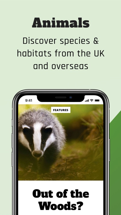 BBC Wildlife Magazine